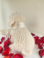 Ribbon Pup / Kurdeleli Köpek Mum